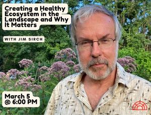 Creating a Healthy E